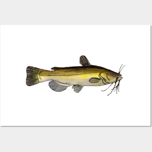 Yellow Bullhead Posters and Art